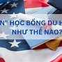 Bỏ Trốn Du Học Mỹ Tại Việt Nam Là Gì