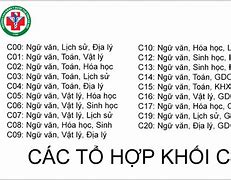 Các Trường Đại Học Có Ngành Du Lịch Khối C