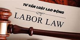 Luật Lao Động Có Mấy Phương Pháp Điều Chỉnh