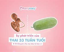 Thai 33 Tuần Phát Triển Như Thế Nào